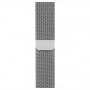 Смарт-часы Apple Watch S2 38mm St.St/SilvMilanese Loop (MNP62RU/A)