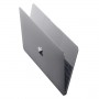 Ноутбук Apple MacBook 12 Core M3 1.1/8/256SSD Space Gray MLH72